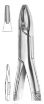  Fig. 1 upper incisors and roots 